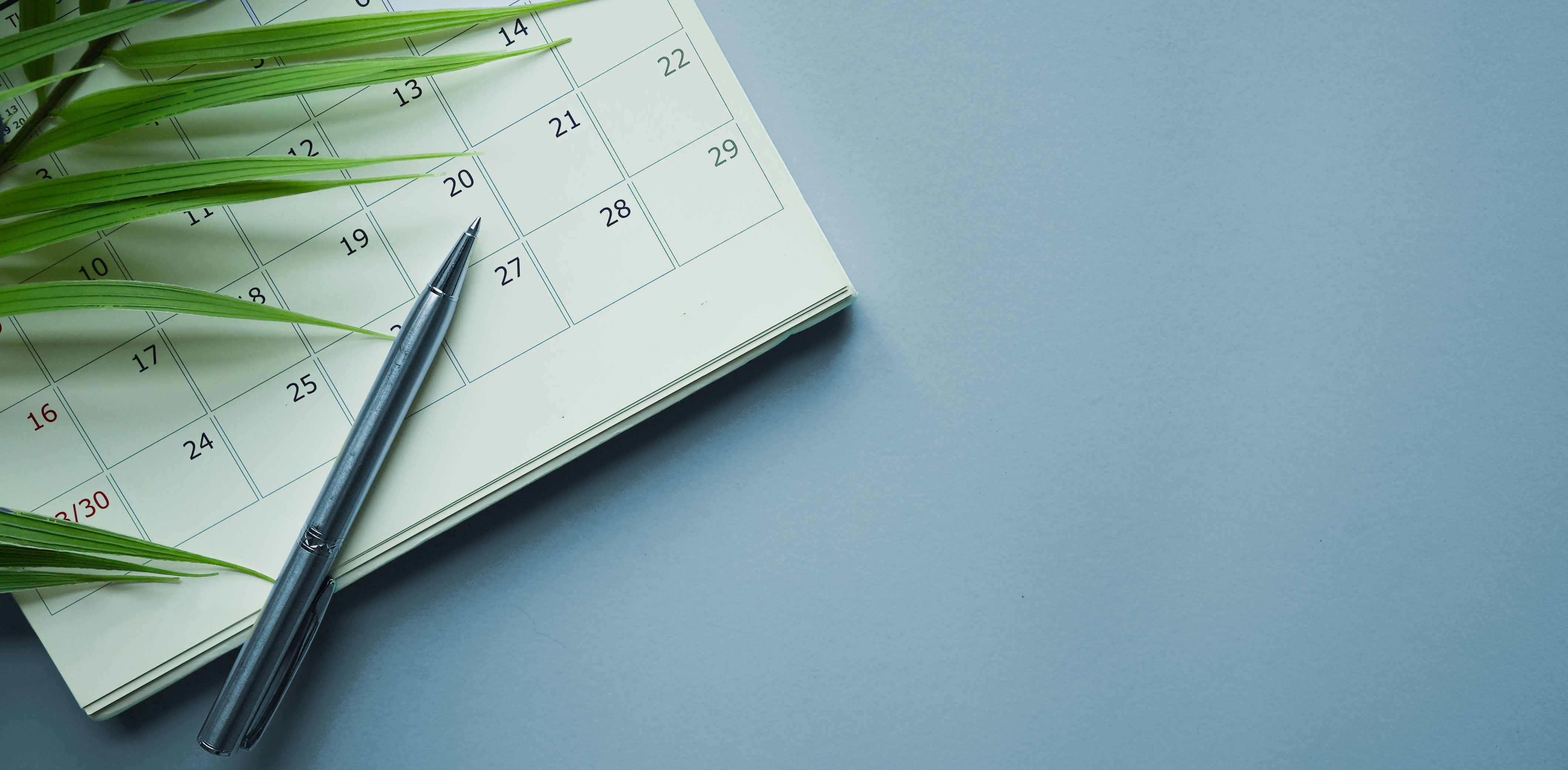 Exploring Your Options in Real Estate Investment