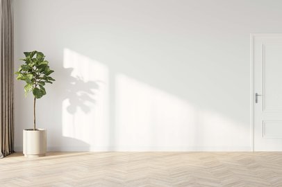 empty-living-room-with-a-tall-indoor-plant-set-off-to-the-side